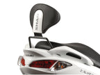 Suzuki Burgman 125 (07-21) SHAD Backrest & Sissybar