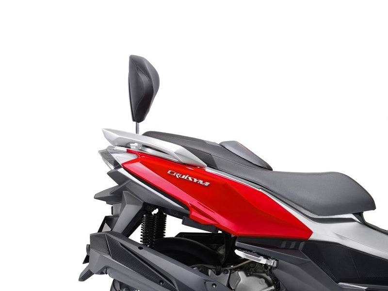 Sym Joymax 125 (13-20) SHAD Backrest & Sissybar