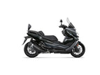 BMW C400 GT (19-26) SHAD Backrest & Sissybar