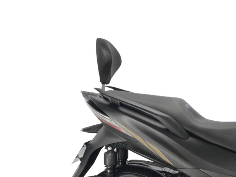Zontes ZT350-E (23-25) SHAD Backrest & Sissybar