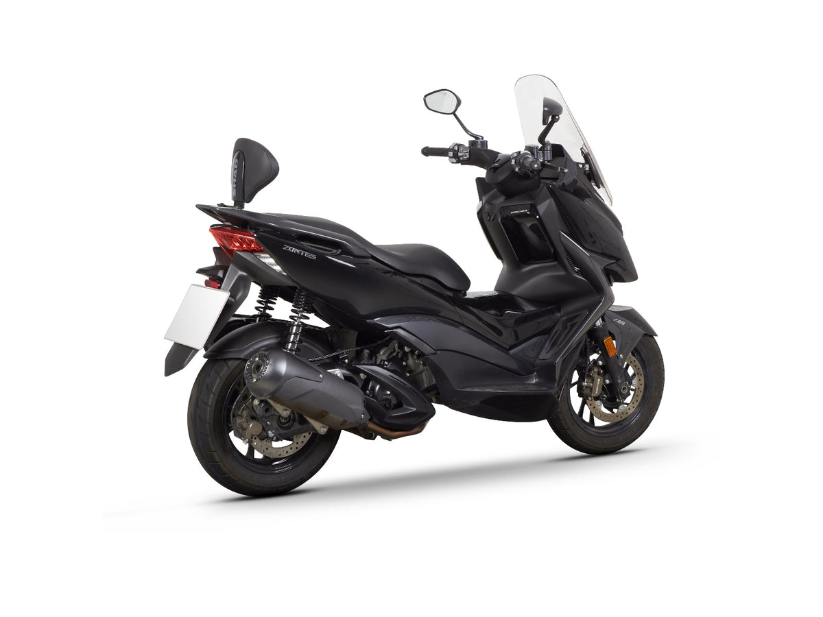 Zontes ZT125-D (23-26) SHAD Backrest & Sissybar
